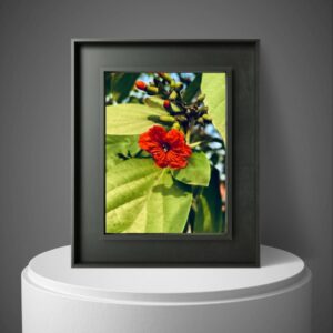 Bold Scarlet Petals - Premium Wall Decor