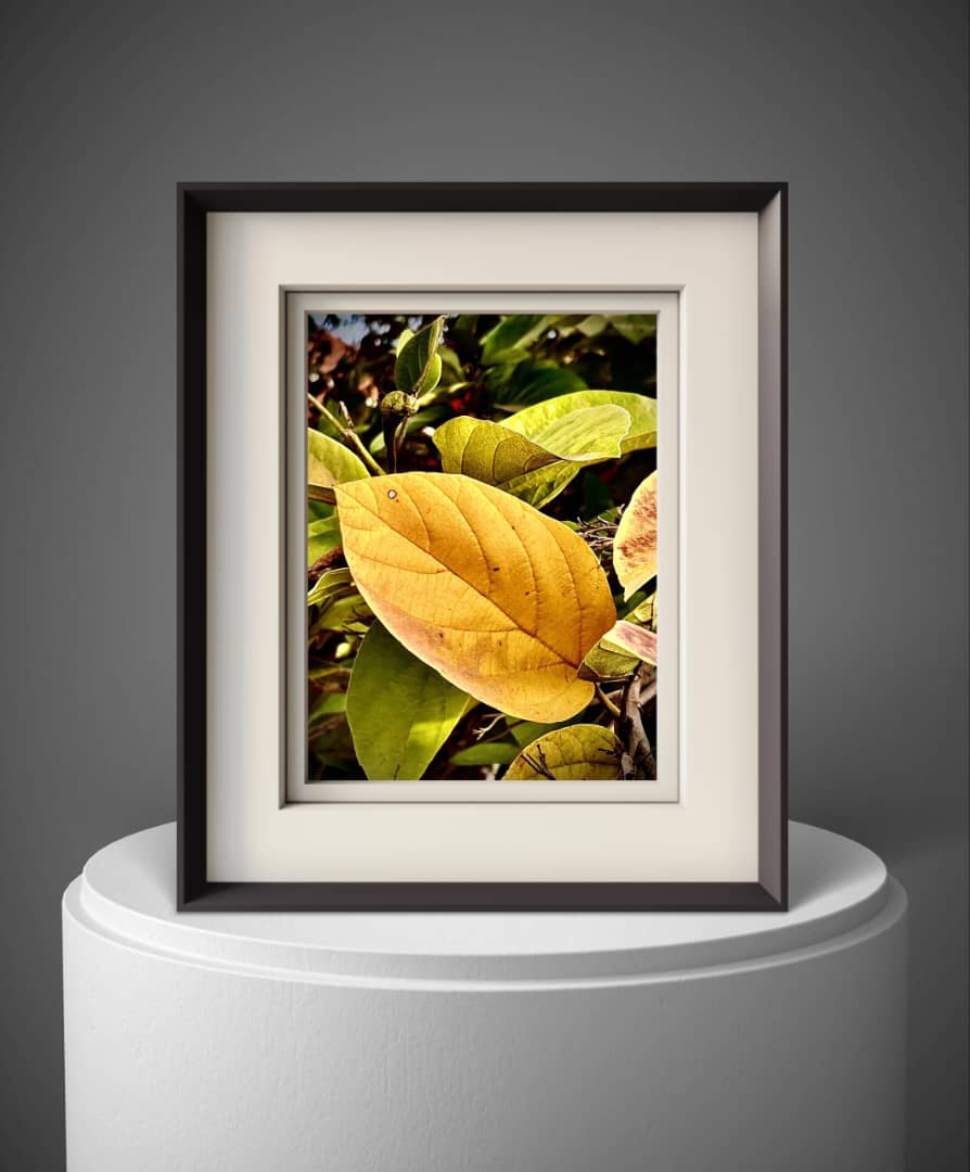 Golden Quietude - Nature-inspred Wall Art