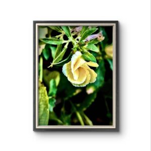 Golden Petals Radiance Premium Nature Wall Art