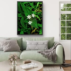 Blooming Simplicity – White Wildflowers on Fresh Green Leaves