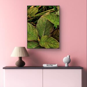 Earthy Calm – Close-Up of Textured Green Leaves Digital Download