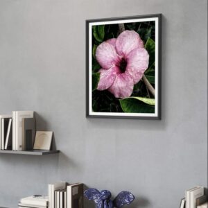 Hibiscus Glow — Premium Nature Wall Art