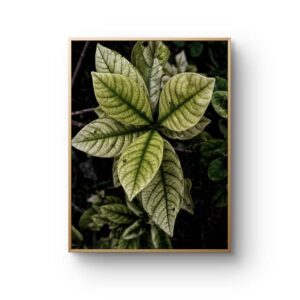 Nature's design elegance digital download