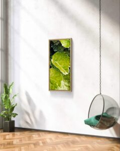 The essence of nature digital download